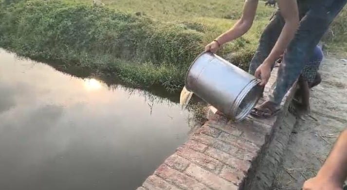 Etawah Food department destroyed one quintal of chenna took 33 samples samples sent to laboratory for testing