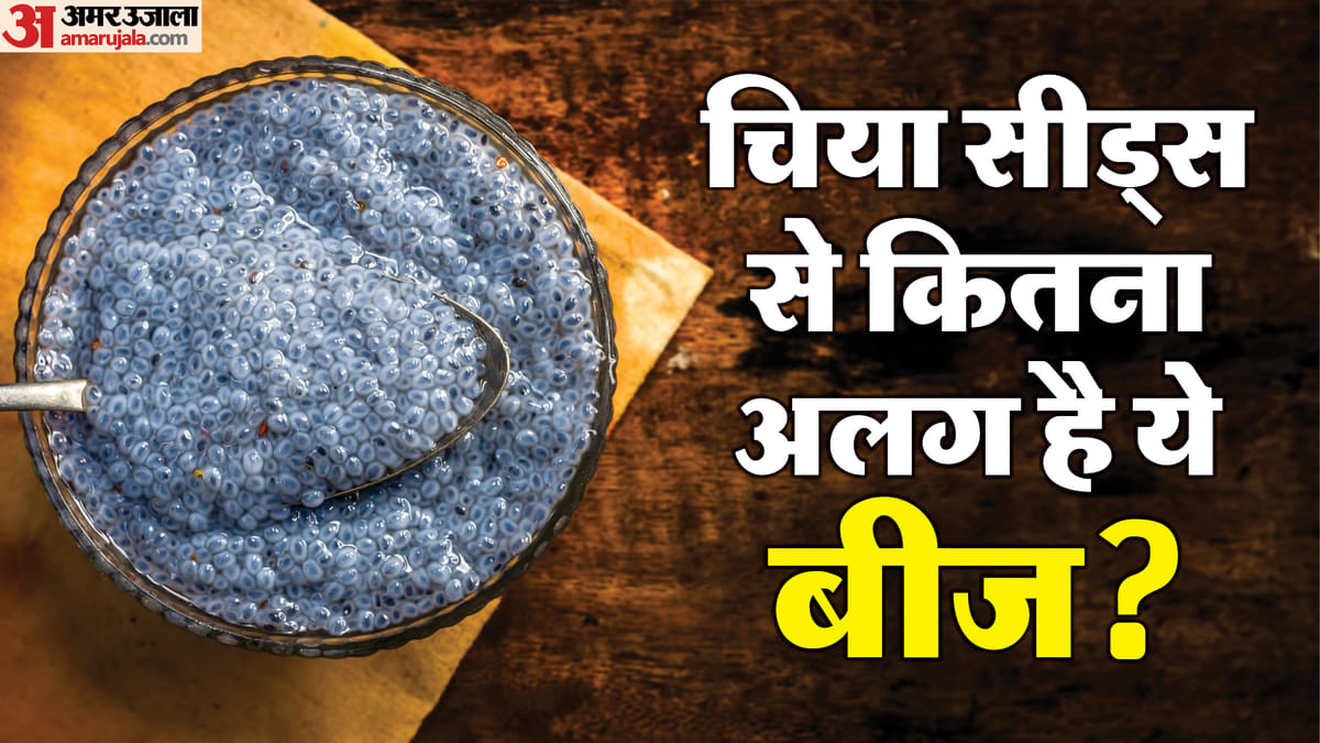 वजन घटाने से लेकर पेट तक के लिए बेसिल सीड्स बहुत फायदेमंद, क्या आप करते हैं इसका सेवन?