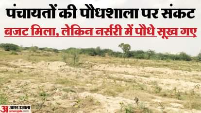 दौसा में पौधरोपण अभियान के बाद खाली नर्सरी, अनदेखी की वजह से सूख रहे पौधे।