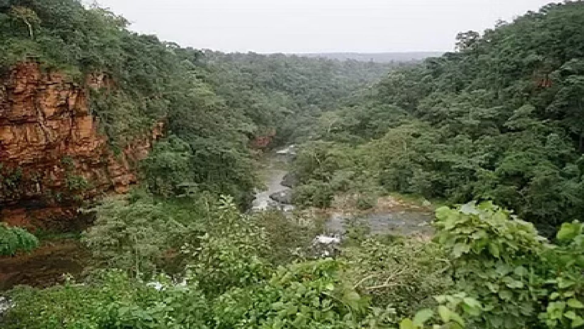 सांकेतिक तस्वीर