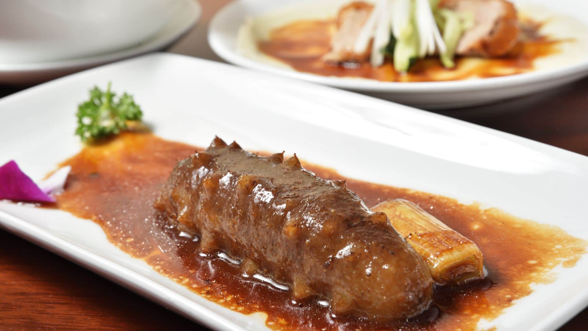 Sea Cucumber India’s Most Expensive Marine Fruit Costs More Than Diamonds Know reason in Hindi