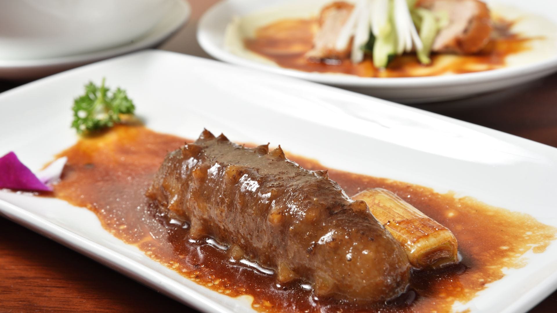 Sea Cucumber India’s Most Expensive Marine Fruit Costs More Than Diamonds Know reason in Hindi