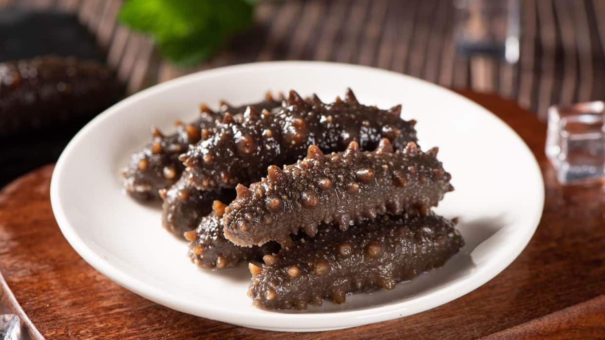 Sea Cucumber India’s Most Expensive Marine Fruit Costs More Than Diamonds Know reason in Hindi