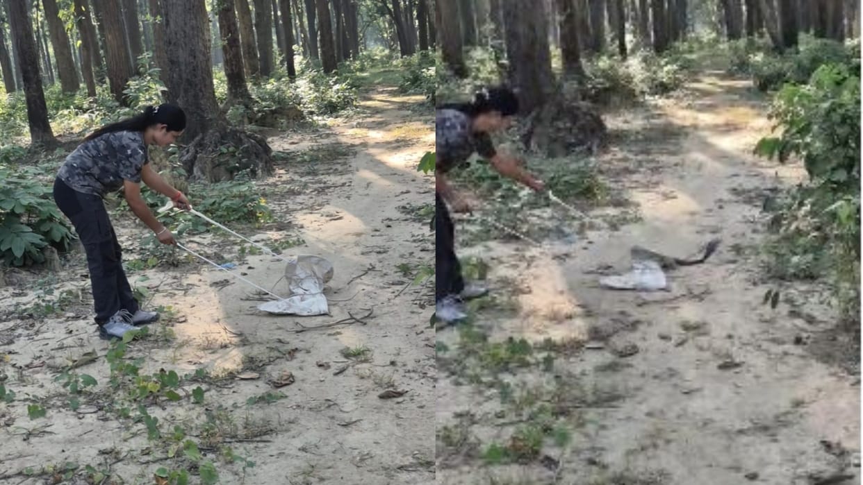 Two cobra snakes were found in a villager house in Lakhimpur kheri