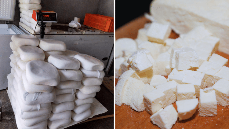 यूपी: यूरिया और डिटर्जेंट मिलाकर बन रहा है नकली पनीर चमकाने के लिए हो रहे टिनोपाल का प्रयोग