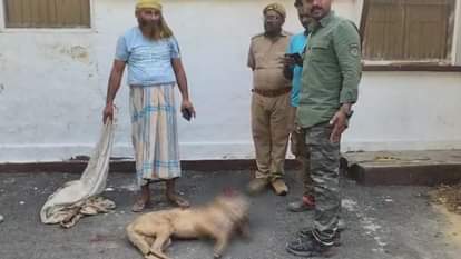 गोली लगने से हुआ घायल।