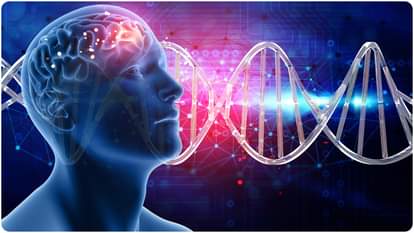 दिमाग के लिए भी खास भोजन जरूरी (सांकेतिक तस्वीर)