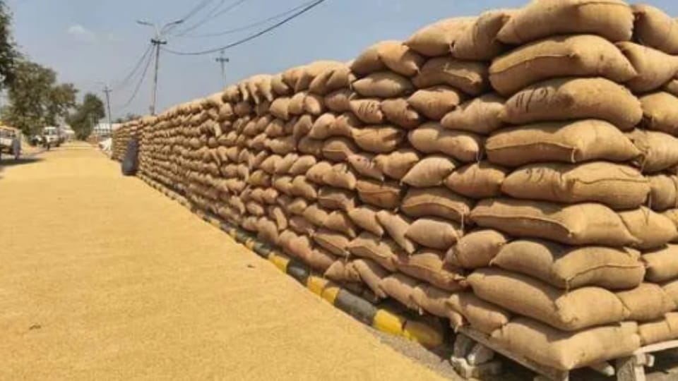 Sardar Vallabhbhai Patel Agricultural University Farmer Fair Sees 40 Lakh Seed Sale, University Sells  20 Lak