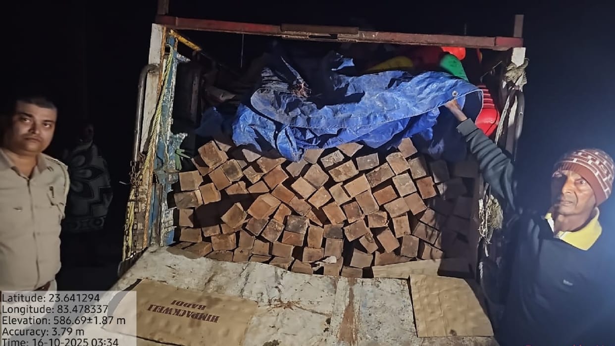 Forest department's major action: Vehicle seized with illegal sal wood, one accused arrested