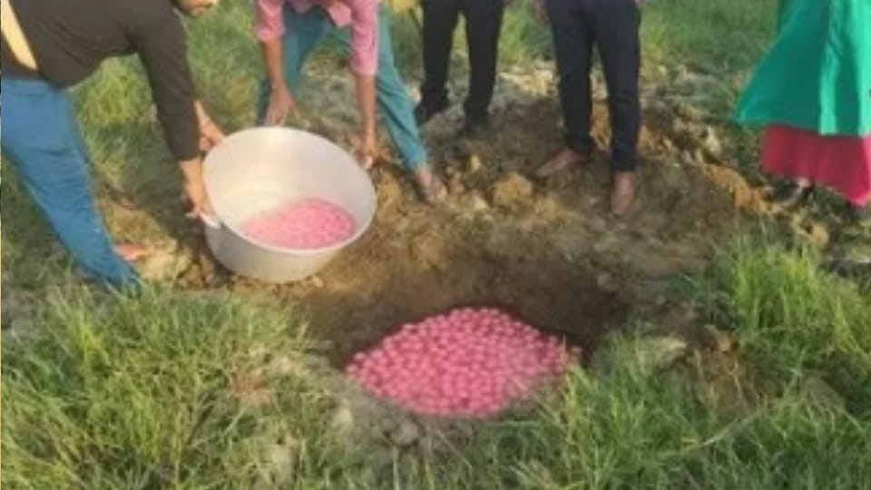 Baghpat Food Safety Team Destroys 20 Kg Spoiled Rasgullas and 80 Kg Khoya