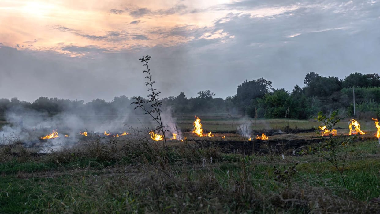 Forest fires in India affect 15 million people, with Uttar Pradesh the worst affected.