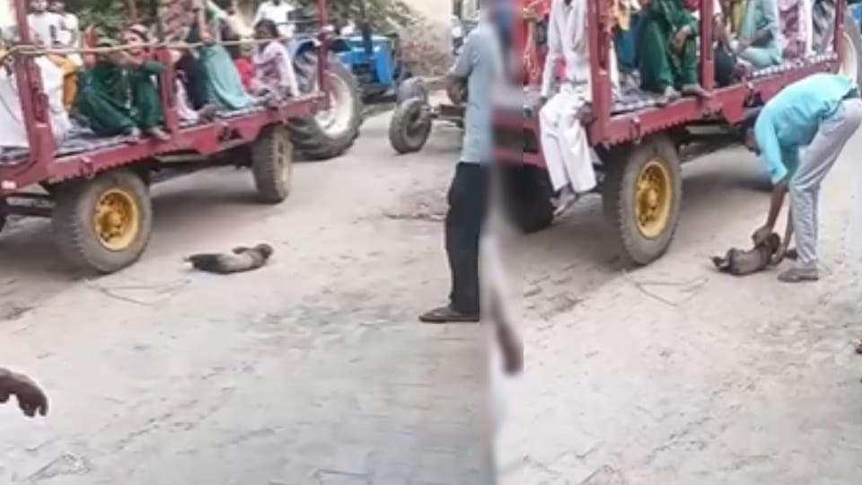 Monika Murder Case: Husband Sent to Jail, Two Infants Left Without Care in Baghpat’s Badarkha Village