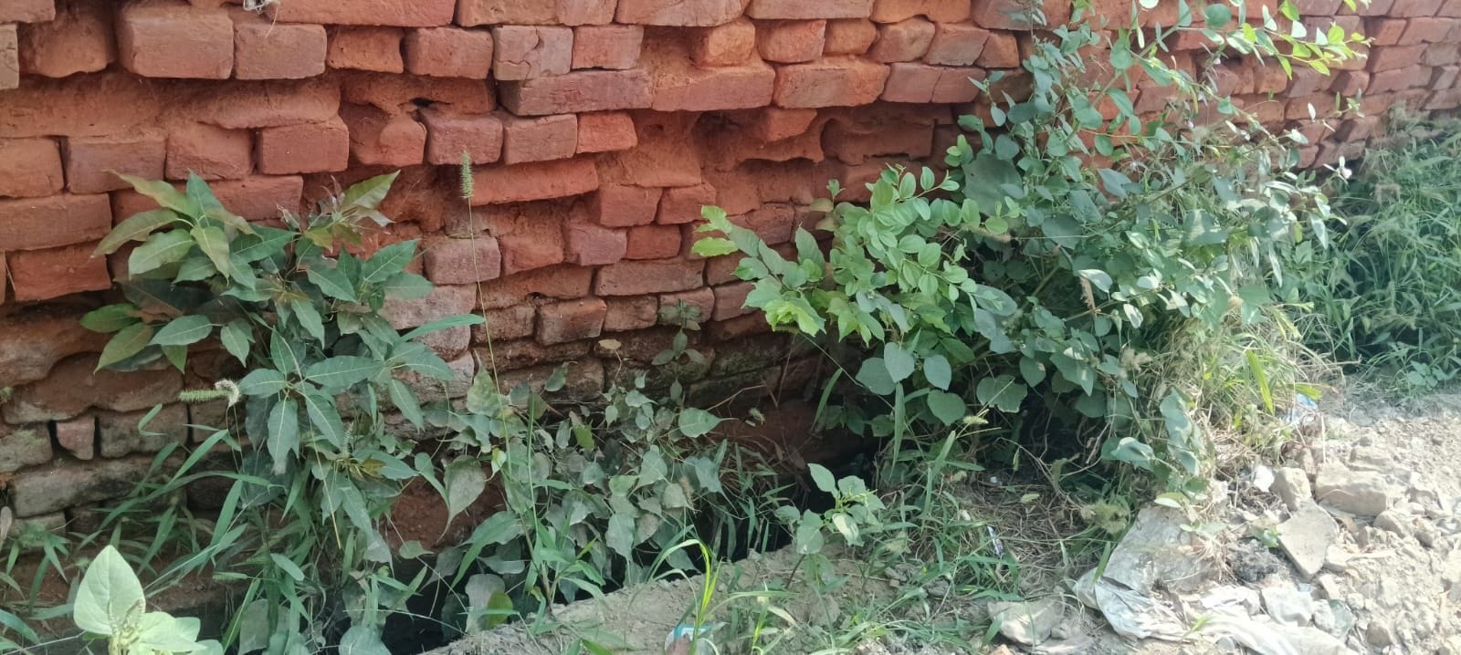 Kanpur Cleanliness in homes piles of garbage in villages and streets DPRO said special campaign will launched