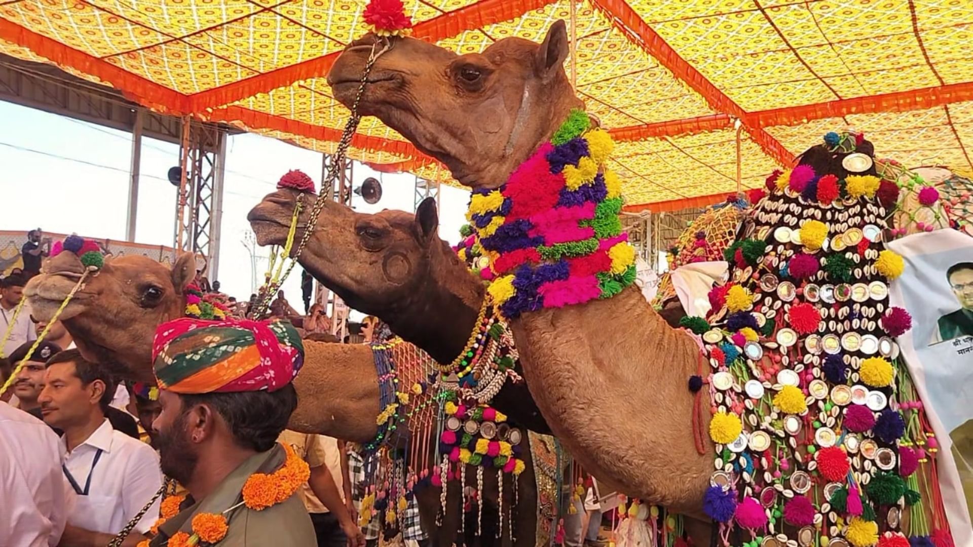 पशु मेले के लिए पुष्कर पहुंचे