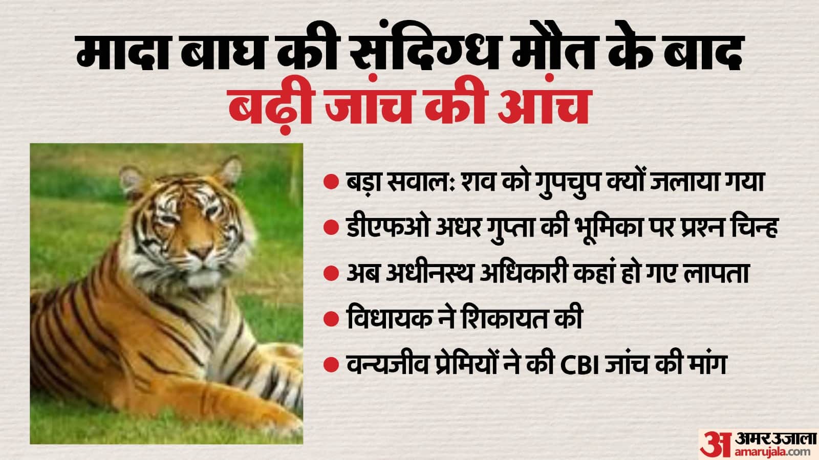 बाघ की मौत के बाद उठे गंभीर सवाल।