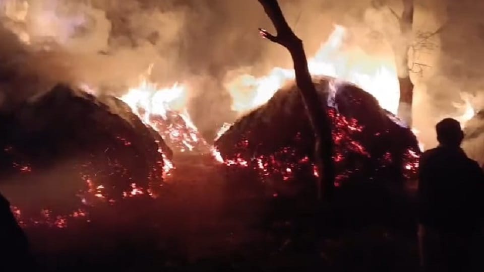 Millet crop caught fire due to unknown reasons in village Jhagdauli