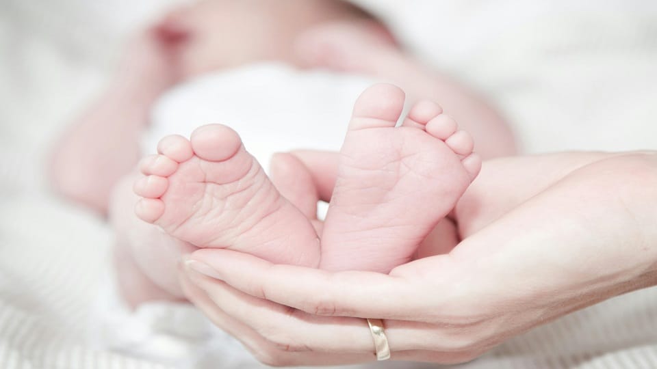 Abandoned Newborn Found Crying Rescued in Time