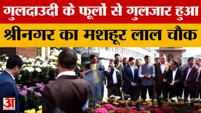 Jammu News: Srinagar's famous Lal Chowk blooms with chrysanthemum flowers