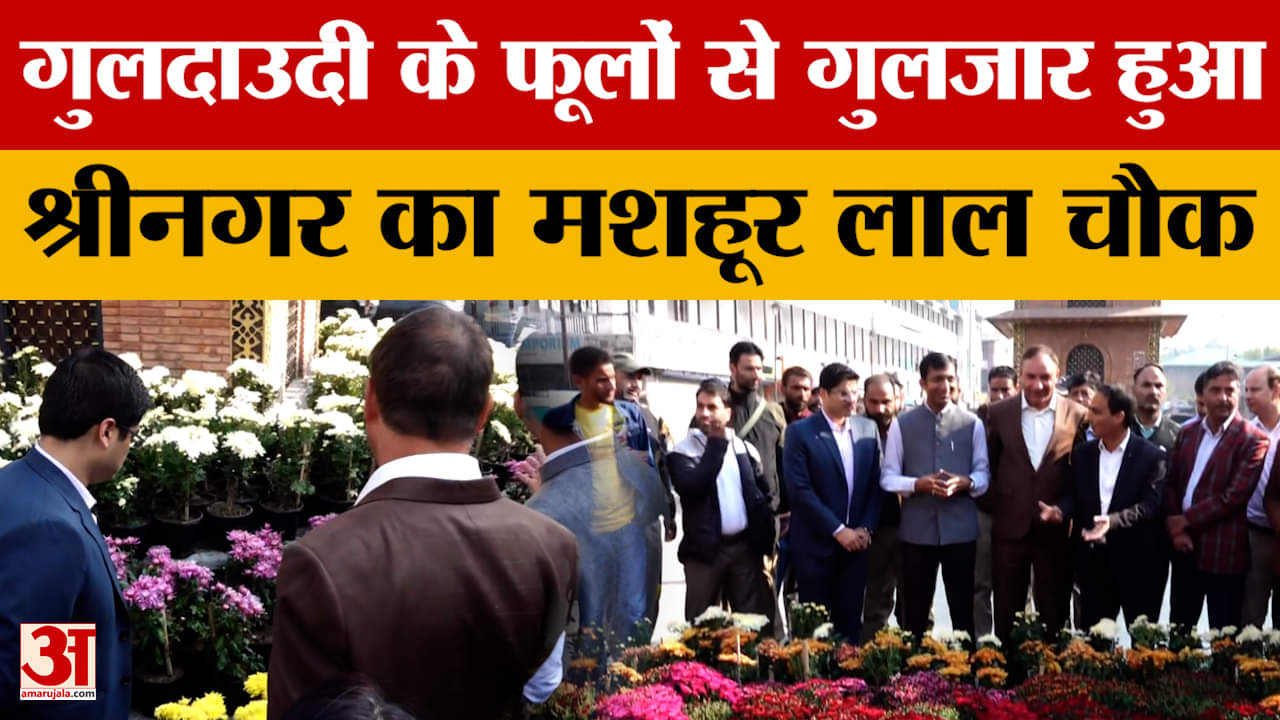 Jammu News: गुलदाउदी के फूलों से गुलजार हुआ श्रीनगर का मशहूर लाल चौक