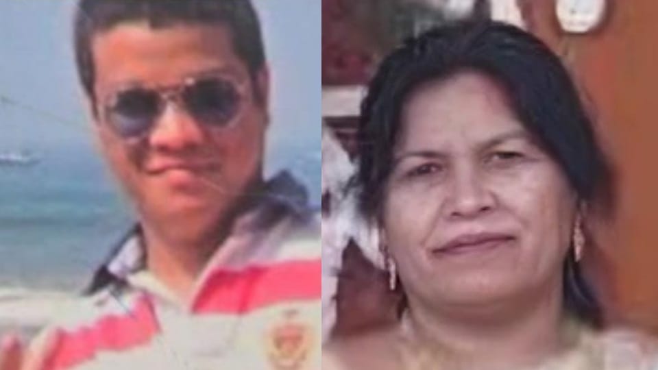 Woman murdered in chandigarh son arrested