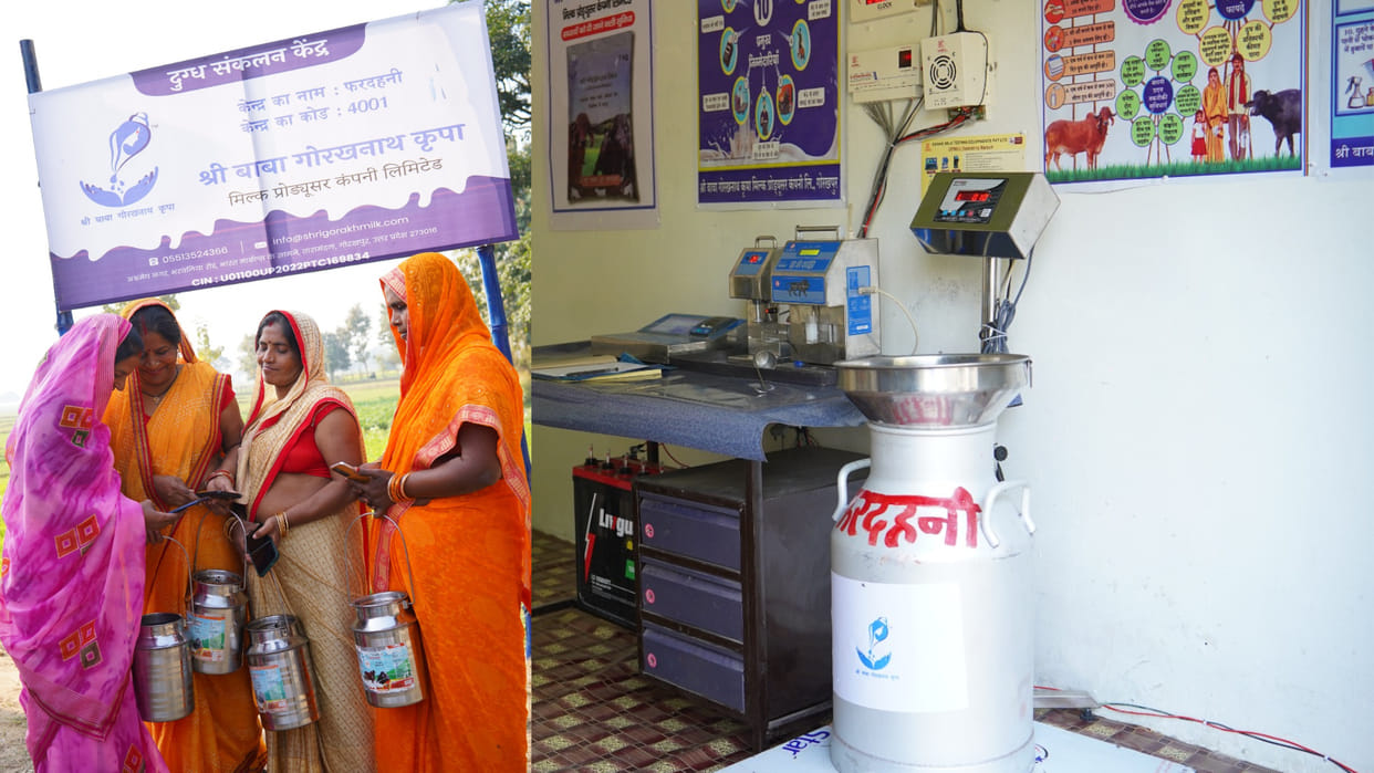 31,000 women from Gorakhpur division have joined Baba Gorakhnath Kripa Milk Producer Organization.