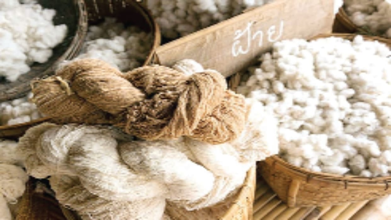 Green fashion trend on rise, demand for nature-inspired clothing rises 43 pec