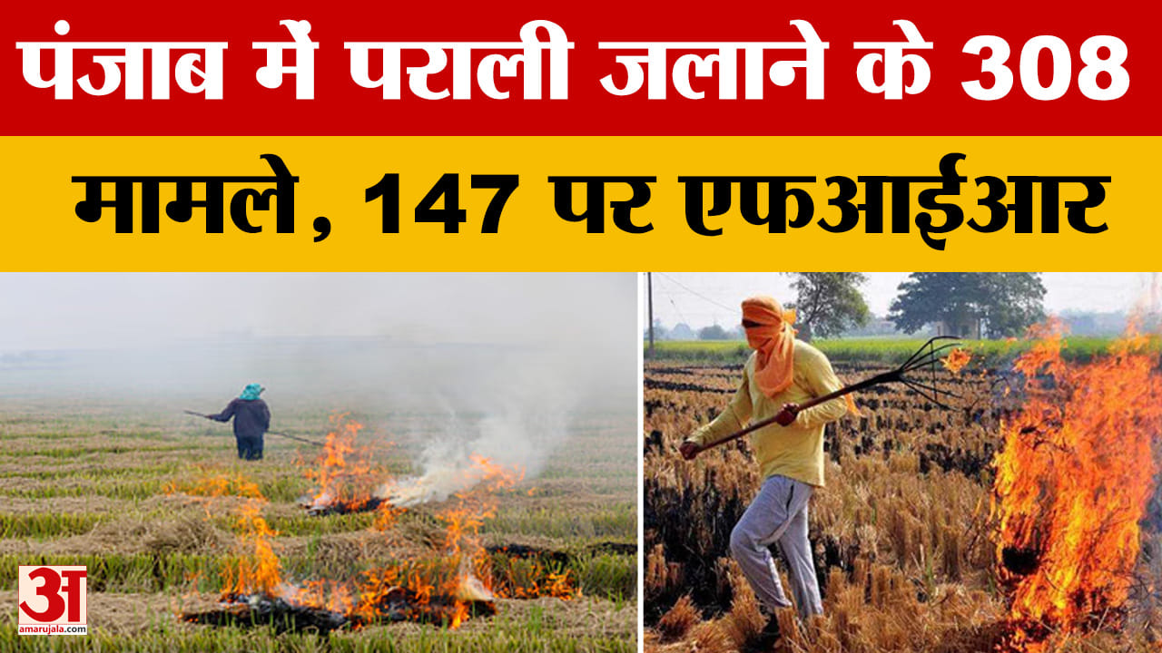 पंजाब में पराली जलाने के 308 मामले आए सामने, 147 पर FIR दर्ज