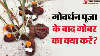 गोवर्धन पूजा दीपावली के अगले दिन बलिप्रतिपदा को मनाया जाता है।