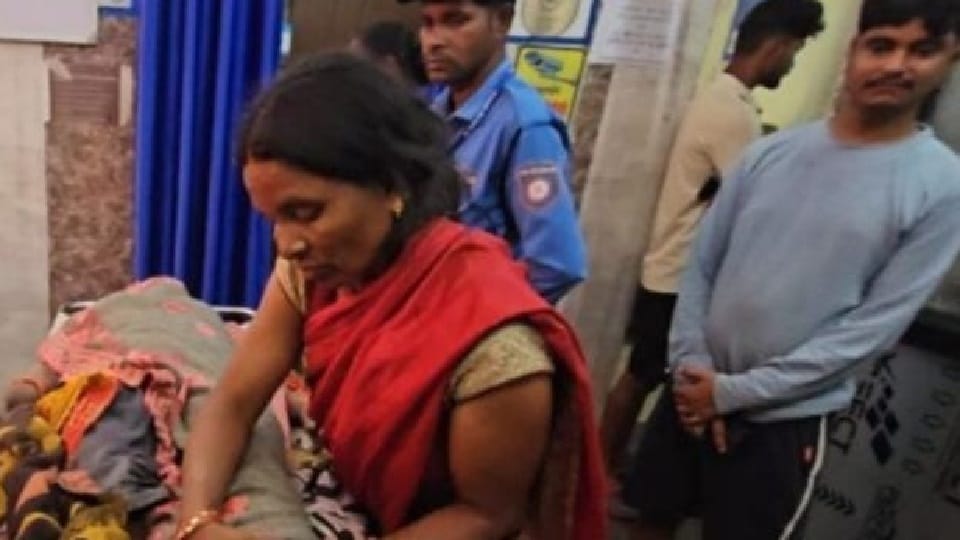 Three bears attack woman in Odgi condition critical