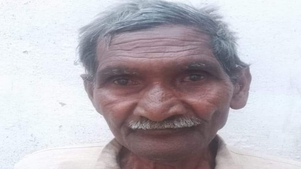 Rampaging Bull Attacks in Mainpuri Village, Elderly Farmer Dies