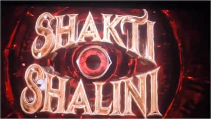 Dinesh Vijan Reveals How The Maddock Horror Comedy Universe Idea Came To Be Talks About Stree 3 Munjya Thamma