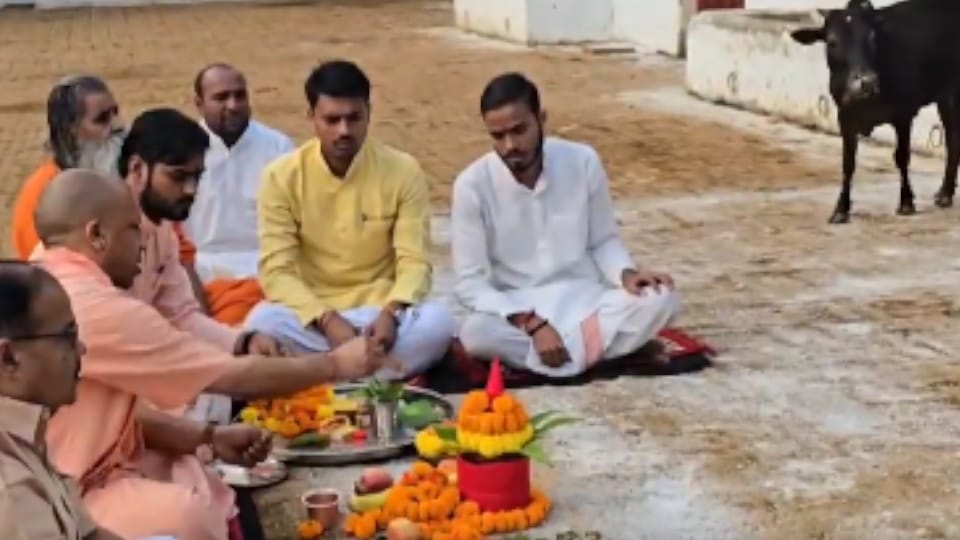Gorakhpur Govardhan Puja: CM Yogi Performs Puja at Gorakhnath Temple, Feeds Cows with Jaggery and Gram