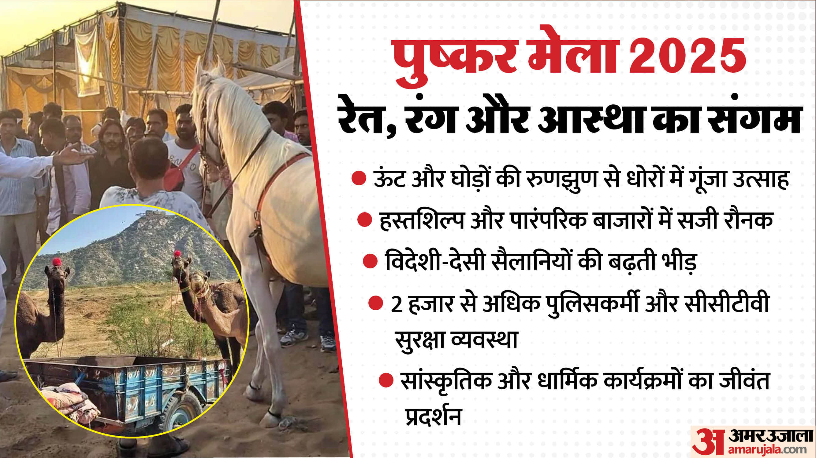 Rajasthan Pushkar Fair 2025 Desert Echoes with Camels Horses Culture and Festive Vibes Photos