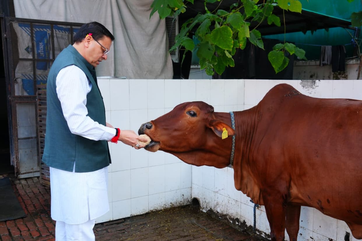 Govardhan Puja 2025 CM Dhami worshiped cow and wished for happiness and prosperity of state