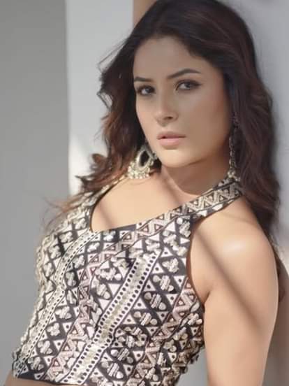 शहनाज गिल