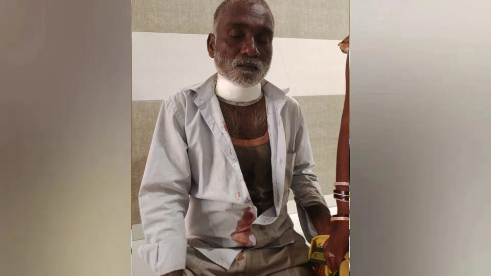 In Gorakhpur, Chinese manjha slits throat of young man riding bicycle, condition critical
