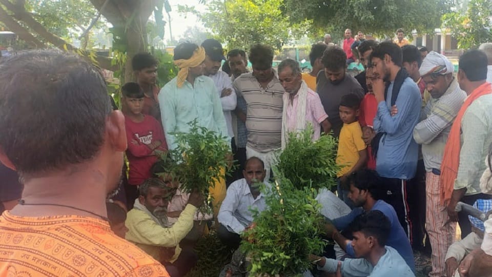 Child dies due to snake bite in Itarni village of Hasayan