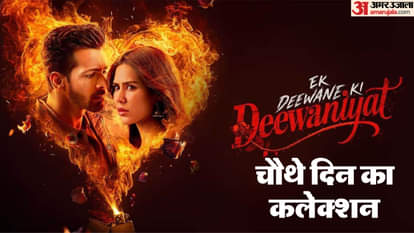 एक दीवाने की दीवानियत