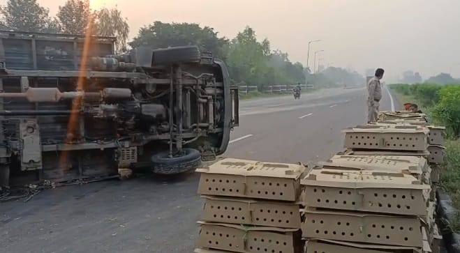 Kanpur Pickup overturned uncontrollably on the highway chicks were scattered on the road more than 100 killed