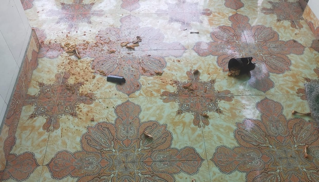 Kanpur Drug addicts threw bones at temple and Tulsi plant anger among the people demand to file a report