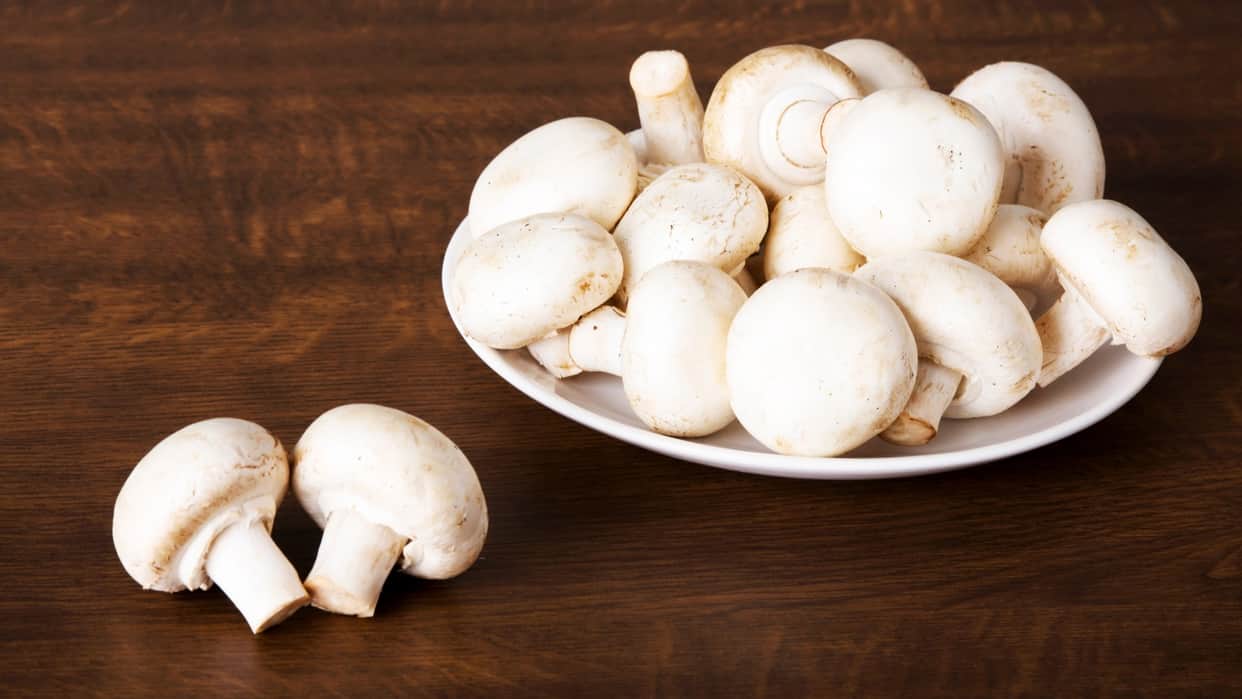 mushroom nutrition facts and health benefits know mushroom khane ke fayde