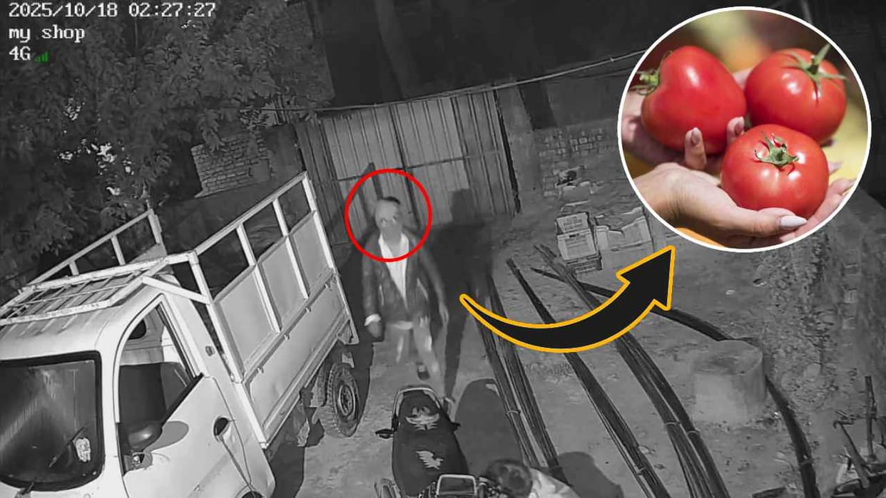 Tomato crates, petrol and cash stolen from a retailer house in Korba video