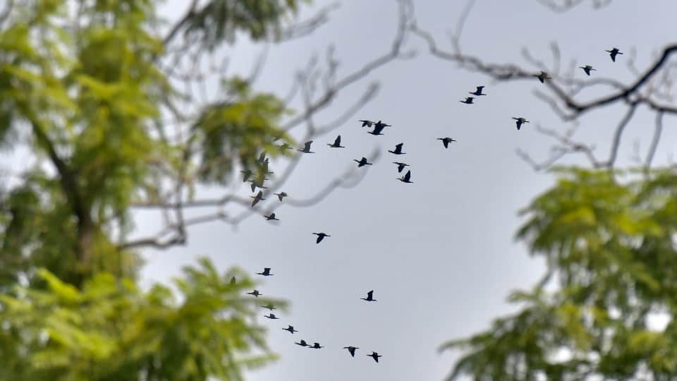 Humidity in Chandigarh sunshine after two days of rain Meteorological Department warns