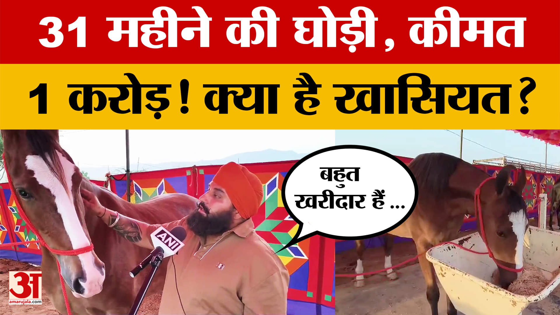 Ajmer: 1 करोड़ रुपए की कीमत वाली घोड़ी, आखिर क्या है ऐसी खासियत कि लगी करोड़ों कीमत? Amar Ujala News