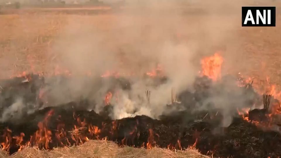 Decline in stubble burning cases recorded in Haryana