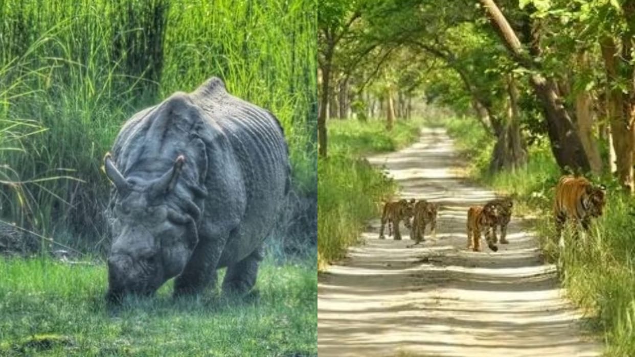 90 guides will provide forest tours to tourists visiting Dudhwa in lakhimpur kheri