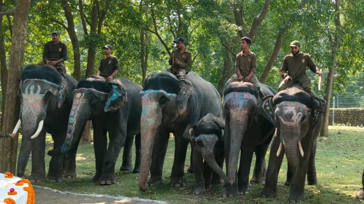 Uttarakhand: अच्छी खबर...काॅर्बेट और राजाजी टाइगर रिजर्व में हाथी सफारी की अनुमति मिली, इतना रहेगा शुल्क
