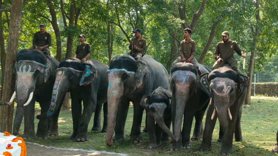 Uttarakhand News Elephant safari permitted in Corbett and Rajaji Tiger Reserves with fee