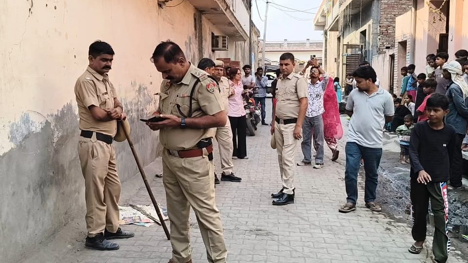 Foetus found in the timber market at Yamunanagar