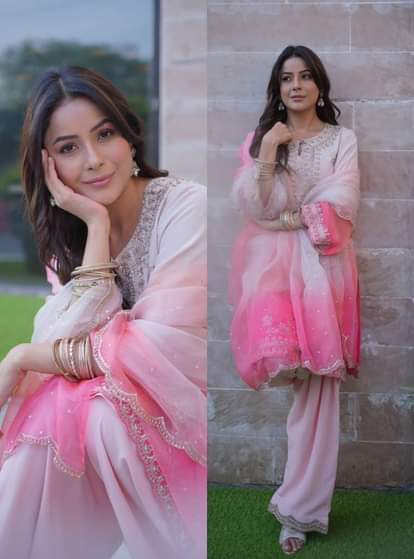 शहनाज गिल